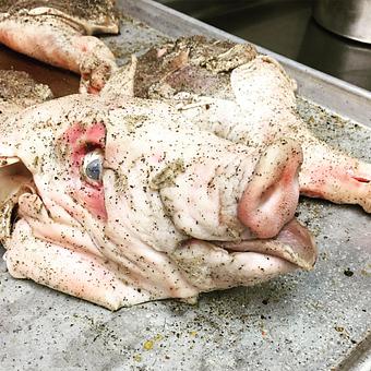 Product - Oakleys Bistro in Greenbriar - Indianapolis, IN American Restaurants