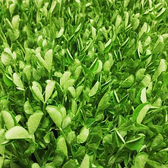 Product - Oakleys Bistro in Greenbriar - Indianapolis, IN American Restaurants