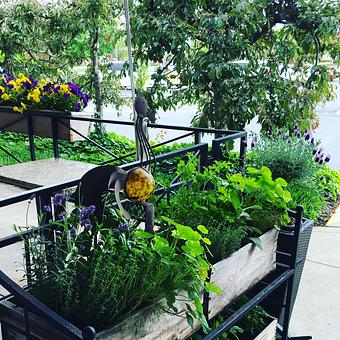 Product - Oakleys Bistro in Greenbriar - Indianapolis, IN American Restaurants