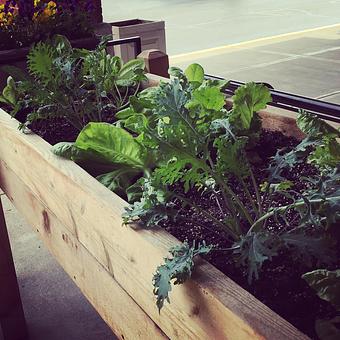 Product - Oakleys Bistro in Greenbriar - Indianapolis, IN American Restaurants