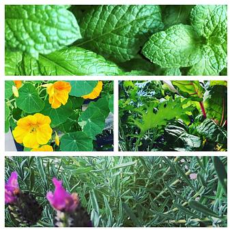 Product - Oakleys Bistro in Greenbriar - Indianapolis, IN American Restaurants