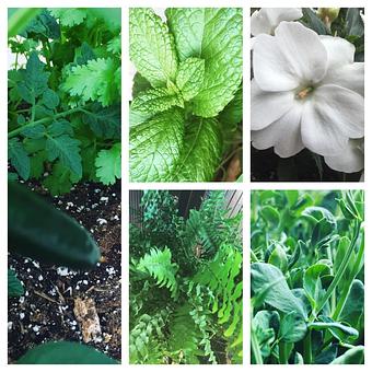 Product - Oakleys Bistro in Greenbriar - Indianapolis, IN American Restaurants