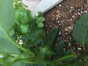 Product - Oakleys Bistro in Greenbriar - Indianapolis, IN American Restaurants