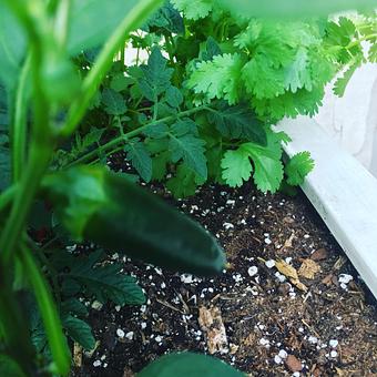 Product - Oakleys Bistro in Greenbriar - Indianapolis, IN American Restaurants