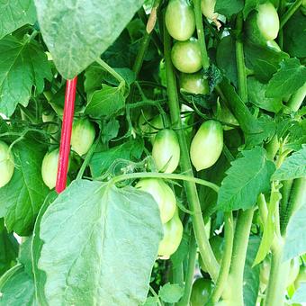 Product - Oakleys Bistro in Greenbriar - Indianapolis, IN American Restaurants