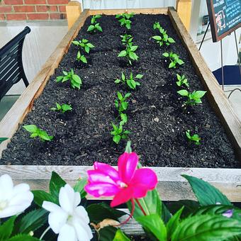 Product - Oakleys Bistro in Greenbriar - Indianapolis, IN American Restaurants