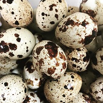 Product - Oakleys Bistro in Greenbriar - Indianapolis, IN American Restaurants