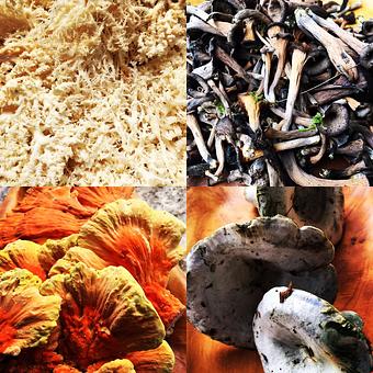 Product - Oakleys Bistro in Greenbriar - Indianapolis, IN American Restaurants