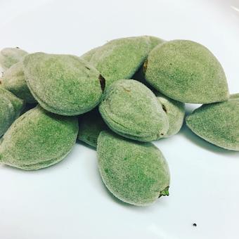 Product - Oakleys Bistro in Greenbriar - Indianapolis, IN American Restaurants