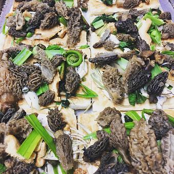 Product - Oakleys Bistro in Greenbriar - Indianapolis, IN American Restaurants