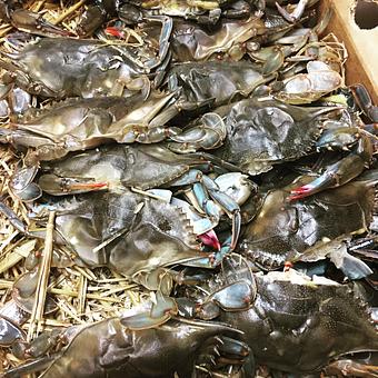 Product - Oakleys Bistro in Greenbriar - Indianapolis, IN American Restaurants