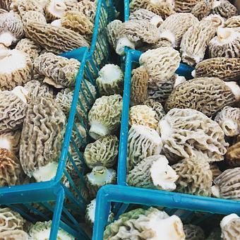 Product - Oakleys Bistro in Greenbriar - Indianapolis, IN American Restaurants