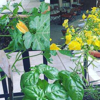 Product - Oakleys Bistro in Greenbriar - Indianapolis, IN American Restaurants