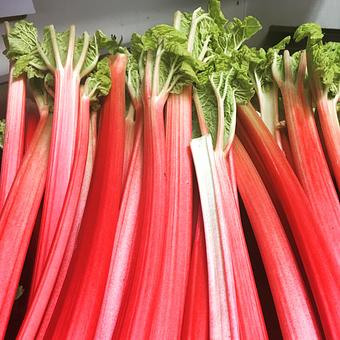 Product - Oakleys Bistro in Greenbriar - Indianapolis, IN American Restaurants