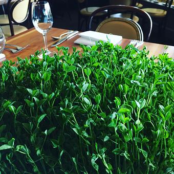 Product - Oakleys Bistro in Greenbriar - Indianapolis, IN American Restaurants