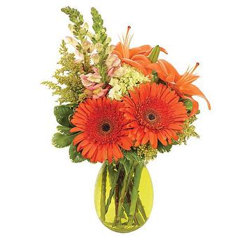 Product - Obies Flowers in Pemberville, OH Florists