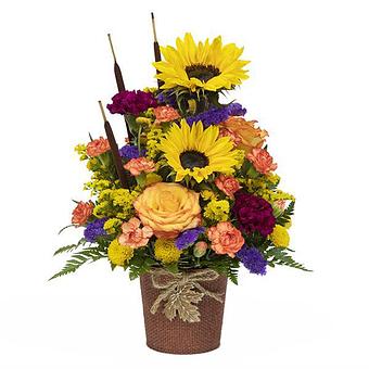 Product: Harvest Greetings Bouquet - Large - Olas Flower in Bothell, WA Florists