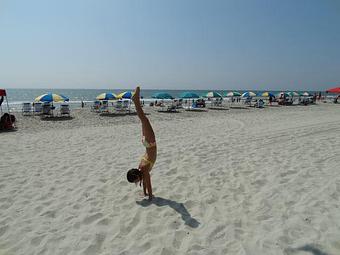 Product - Olympic Dreams Gymnastics in Youngstown, OH Sports & Recreational Services