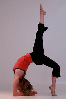 Product - OmTree Shala in Lawrence, KS Sports & Recreational Services