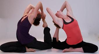 Product - OmTree Shala in Lawrence, KS Sports & Recreational Services