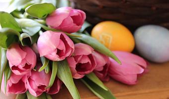 Product - Orchard Kitchen in Bayview,  just outside Langley, on the beautiful Whidbey Island - Langley, WA American Restaurants