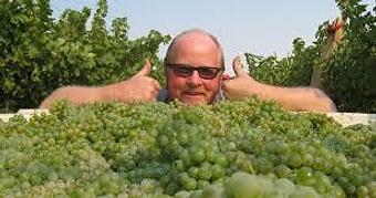 Product - Orchard Kitchen in Bayview,  just outside Langley, on the beautiful Whidbey Island - Langley, WA American Restaurants