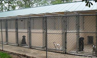 Product - Original Kennels of Kingwood in Kingwood, TX Pet Boarding & Grooming