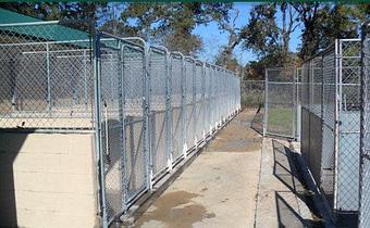 Product - Original Kennels of Kingwood in Kingwood, TX Pet Boarding & Grooming
