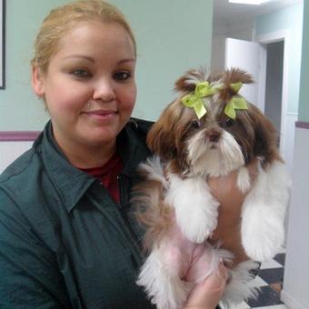 Product - Original Kennels of Kingwood in Kingwood, TX Pet Boarding & Grooming