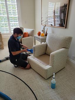 Product: Upholstery Cleaning - Pacific Steam Carpet Cleaning in Hawthorne - Portland, OR Carpet Rug & Upholstery Cleaners