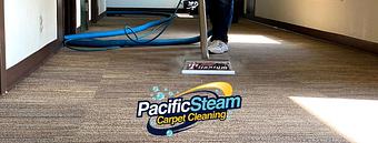 Product - Pacific Steam Carpet Cleaning in Hawthorne - Portland, OR Carpet Rug & Upholstery Cleaners