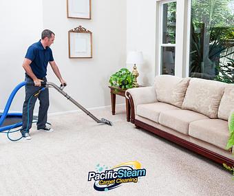 Product: Professional Carpet Cleaning. Zero Residue, non-toxic, Steam cleaning to thoroughly clean and rejuvenate your carpets. - Pacific Steam Carpet Cleaning in Hawthorne - Portland, OR Carpet Rug & Upholstery Cleaners