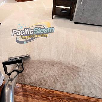 Product - Pacific Steam Carpet Cleaning in Hawthorne - Portland, OR Carpet Rug & Upholstery Cleaners