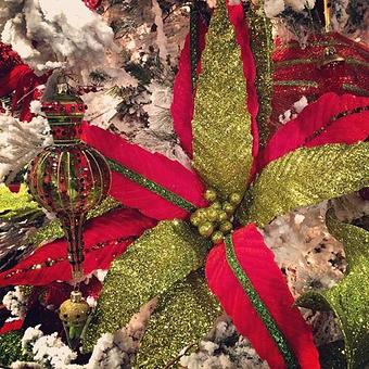 Product - Panache in Wolflin Village - Amarillo, TX Business Services