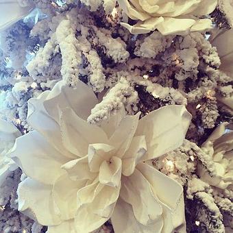 Product - Panache in Wolflin Village - Amarillo, TX Business Services