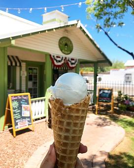 Product - Papa Ed's Ice Cream in Glendale, AZ Ice Cream & Frozen Yogurt