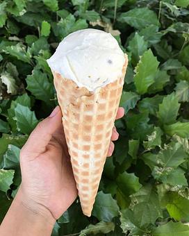 Product - Papa Ed's Ice Cream in Glendale, AZ Ice Cream & Frozen Yogurt