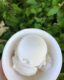 Product - Papa Ed's Ice Cream in Glendale, AZ Ice Cream & Frozen Yogurt