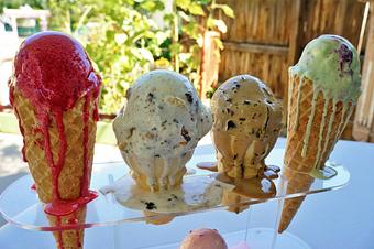 Product - Papa Ed's Ice Cream in Glendale, AZ Ice Cream & Frozen Yogurt
