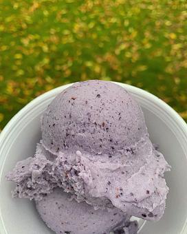 Product - Papa Ed's Ice Cream in Glendale, AZ Ice Cream & Frozen Yogurt