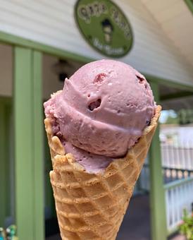 Product - Papa Ed's Ice Cream in Glendale, AZ Ice Cream & Frozen Yogurt