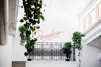 Product - Paradiso in Dallas, TX Bars & Grills