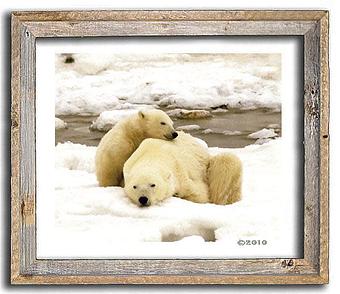 Product: framed in rustic frame - Pat Toth-Smith Photography in Benicia, CA Misc Photographers