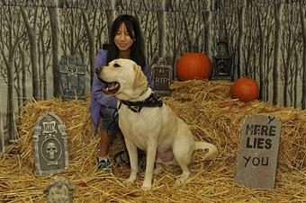 Product - Pawsabilities in Fife, WA Pet Care Services