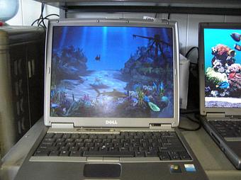 Product - PC Services - Computers-Monitors-Printers in Tampa, FL Attorneys