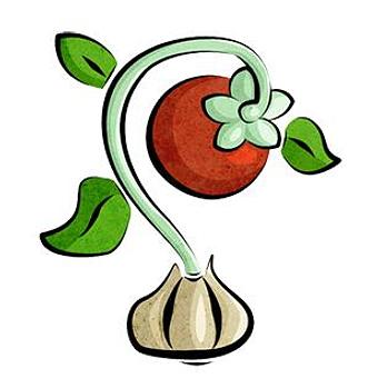 Product - Pelinti Pizza in Hood River, OR Pizza Restaurant