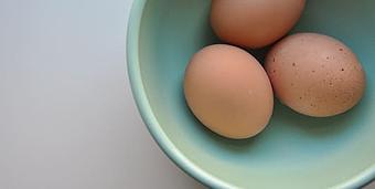 Product: Spring Eggs - People’s Food Co-op Natural Foods Market & Deli in Kerrytown - Ann Arbor, MI Cafe Restaurants