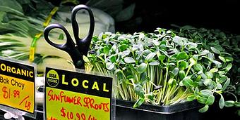 Product - People’s Food Co-op Natural Foods Market & Deli in Kerrytown - Ann Arbor, MI Cafe Restaurants