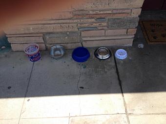 Product - Pet Grooming by Jeannie Hawkins in Marysville, CA Pet Boarding & Grooming