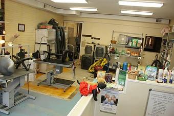 Product - Petstravaganza Inc in Kernersville, NC Pet Care Services